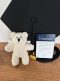 College Companion