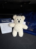 Glovebox Guardian