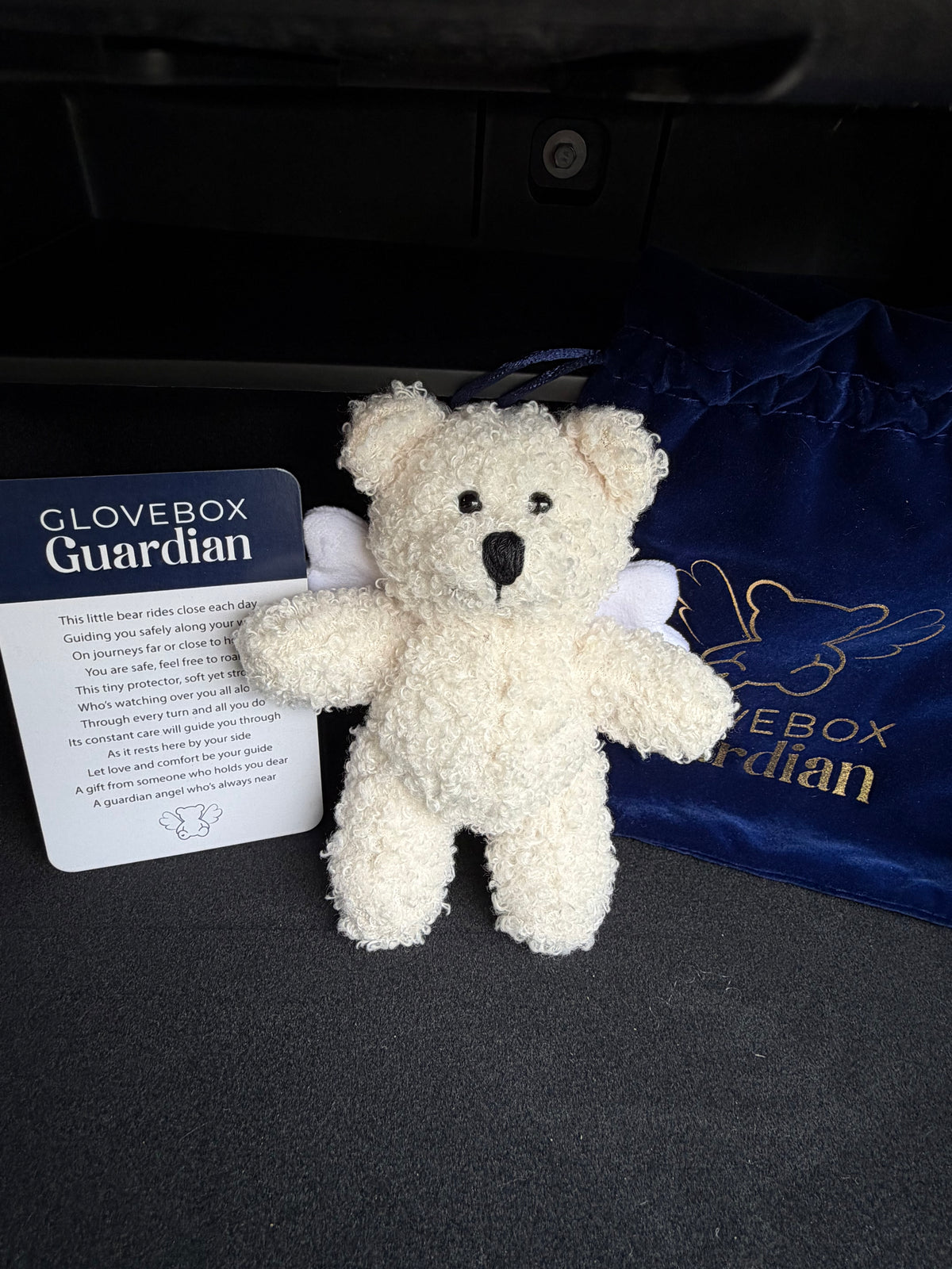 Glovebox Guardian